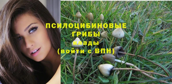 героин Алзамай