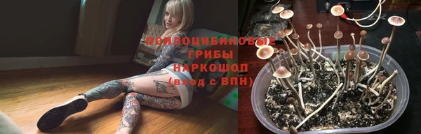 герыч Алексин
