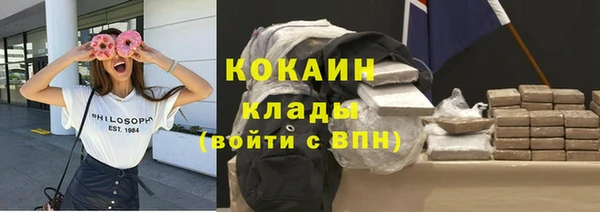 стаф Ростов