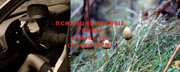 a pvp Алексеевка
